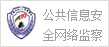 公共信息安全网络监察